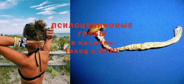 крисы Ладушкин