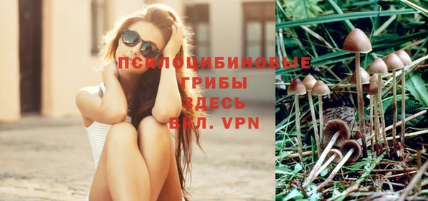 марки nbome Пересвет