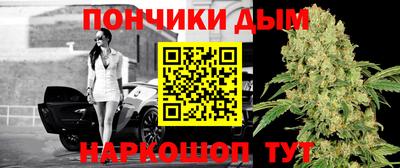 прущие крисы Заводоуковск