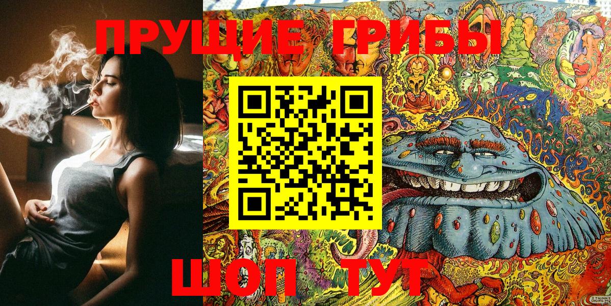 хочу   Псилоцибиновые грибы Cubensis  Вход с VPN  Курчатов 