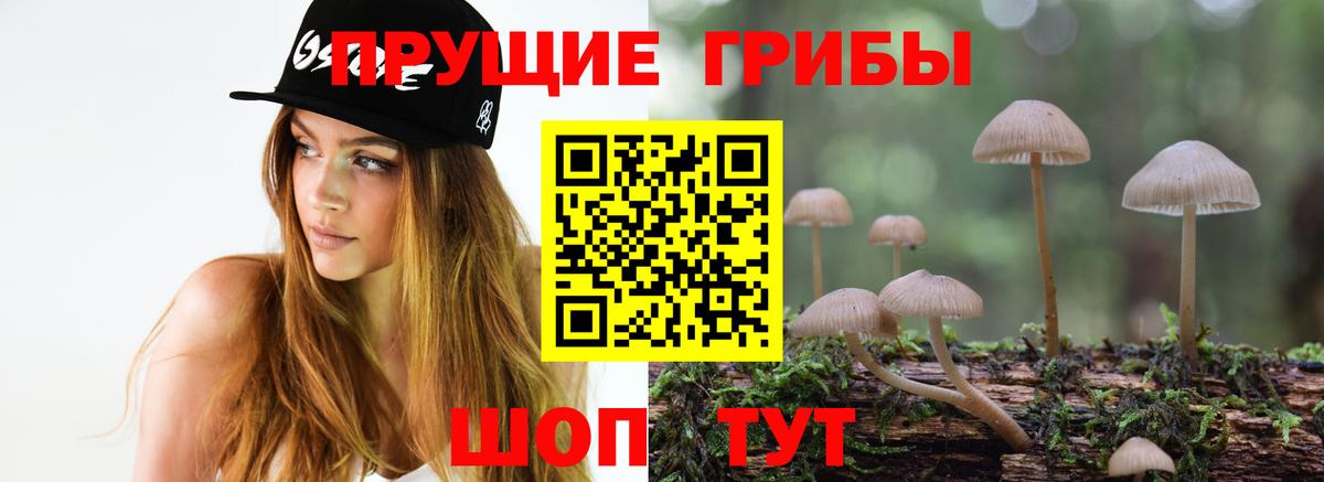 Псилоцибиновые грибы MAGIC MUSHROOMS Курчатов